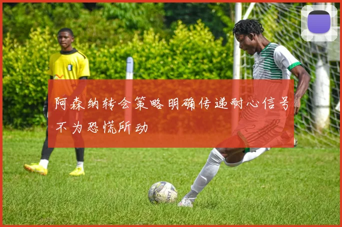 阿森纳转会策略明确传递耐心信号不为恐慌所动